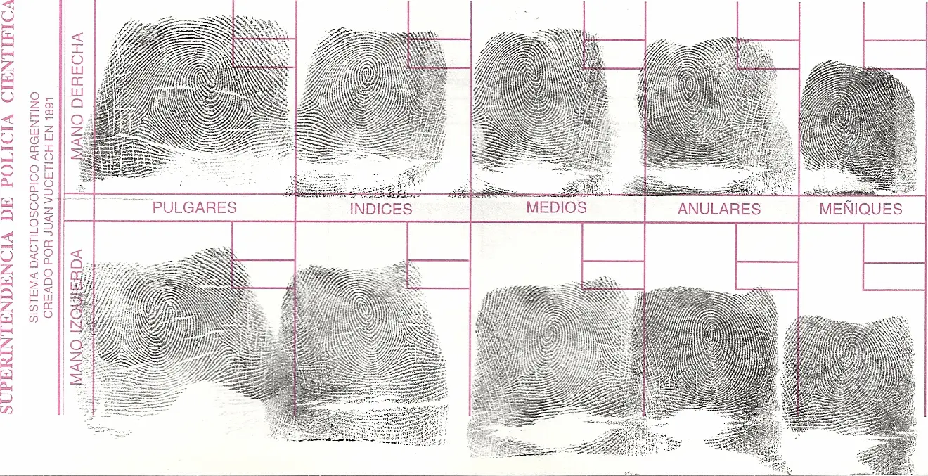 Expérience interartive avec enquête